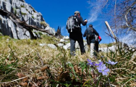 10003574_579851072111720_6855549730379461371_o