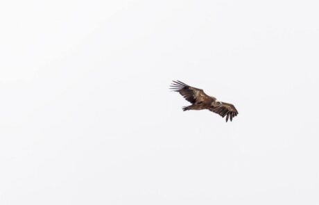 1010715_693653574013707_648004716474573990_n