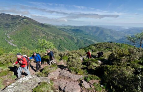 1014628_439522589477903_1596082403_o