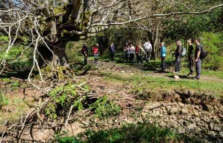 1015483_1483427461873548_7092065669839412282_o