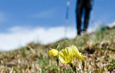 10171158_579850772111750_5774889524695587365_n