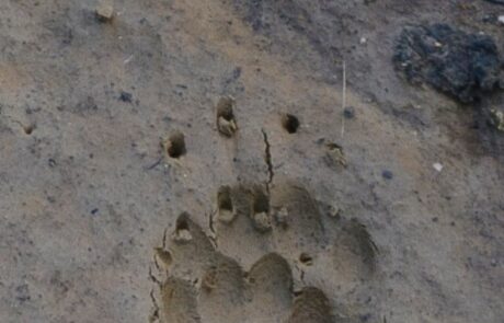 10246406_579848208778673_4603660283139046159_n