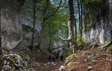 10247468_682640108448387_4073502419621618004_n