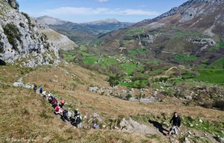 10257432_579846165445544_1869588927572626174_o