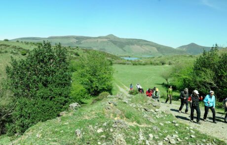 10257507_1483427481873546_4756873518260426295_o