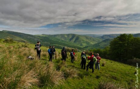 1026079_439521702811325_1485575484_o