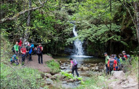 10275569_888767751168954_7506482645818343952_o