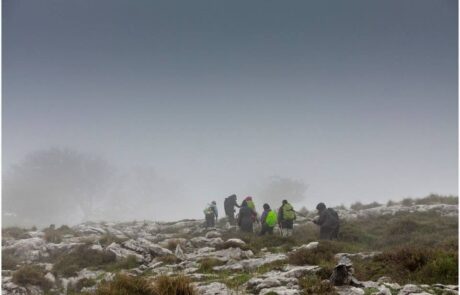 10341535_693653357347062_5763056015359310974_n