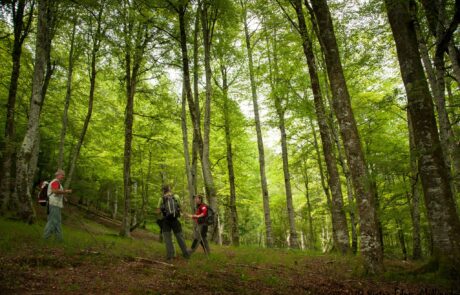 10379851_1500015003548127_7888350021008649179_o