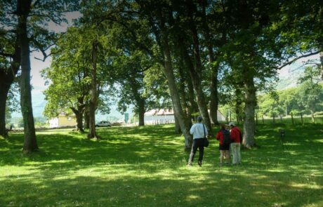 10386241_710225112356553_6737711829528853871_n