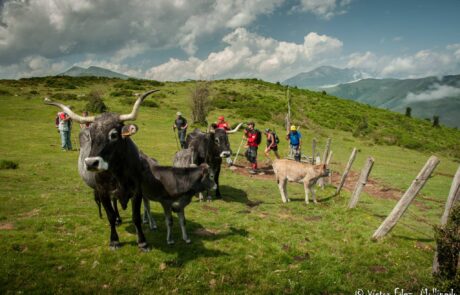 10397034_1500074873542140_1156798852441010647_o