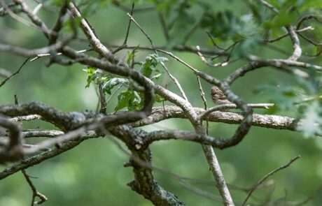 10398040_710225165689881_3366913250876930444_n