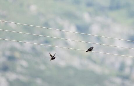 10402655_710224569023274_6543465376415512809_n