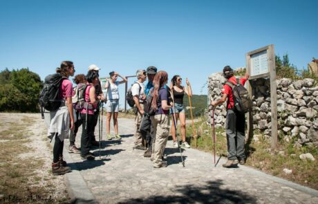 10404040_1515527898663504_4584571006538624607_o