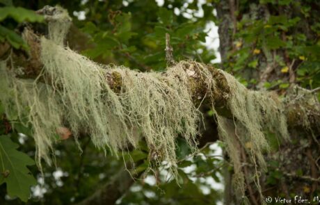 10431407_1508986095984351_2273524367240379614_o