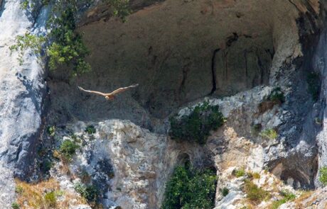 10447094_710225139023217_3172093471539666749_n