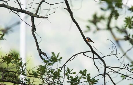 10462698_710224682356596_532428056384685733_n