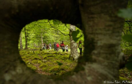 10472826_1500075086875452_5140980400899788741_o