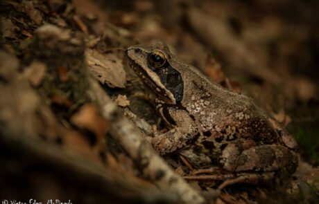 10496037_1508986132651014_3394251482499282086_o