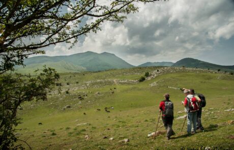 10496112_1500014903548137_4314396791279592382_o