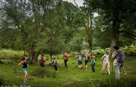 10580792_1508986069317687_461350916192764774_o