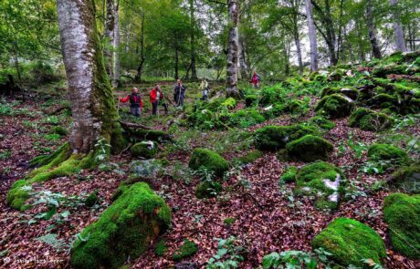 10629501_679373248826168_5981776056532107179_o