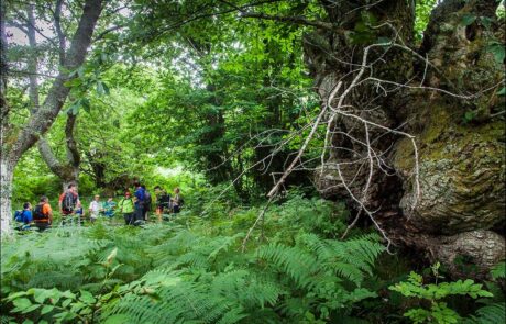 10644725_920179224694473_6078926409161676026_o