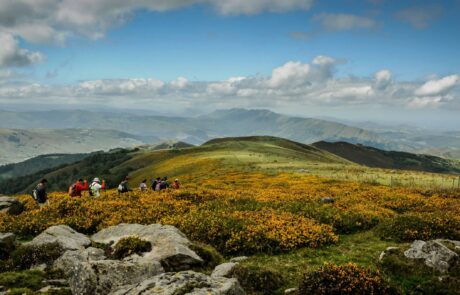 10682444_1523745324508428_7872472722560628770_o