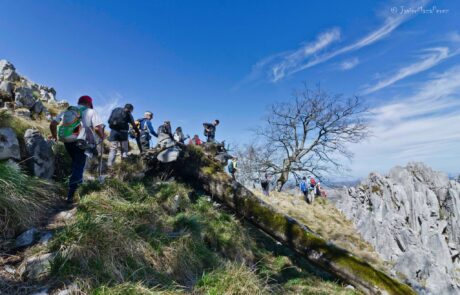 1072058_579851382111689_1229128133920258492_o