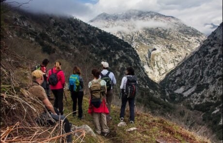 10835284_877954785583584_9021107836161292944_o