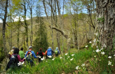 10845795_1611238082425818_8583194353498945472_o