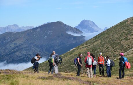 11032490_754866647956184_76841351293266090_o