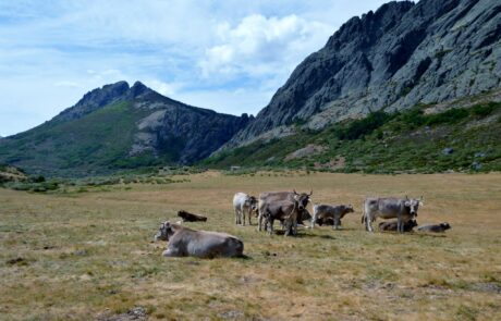 11032519_754868774622638_692918382903974547_o