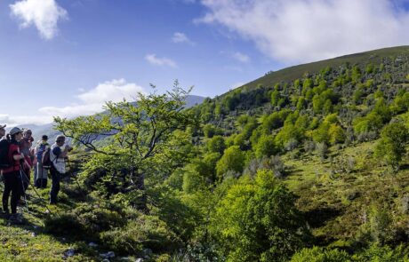 11053240_797175207045971_6890932267185678919_o