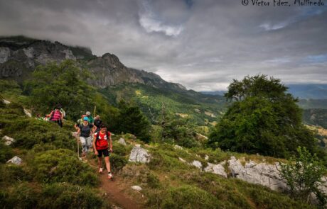 11060034_1638005873082372_134515584402283424_o