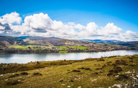 11100006_10205024587592593_1313870634_o