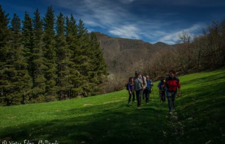 11130504_1603622969853996_6140063267699862701_o