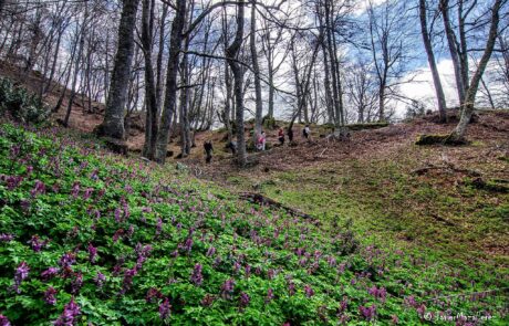 11146357_779019712194854_8648147489906597748_o