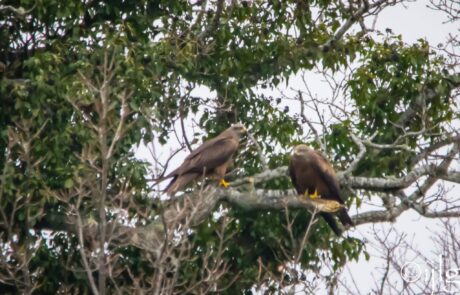 11148002_10205024586952577_227388090_o