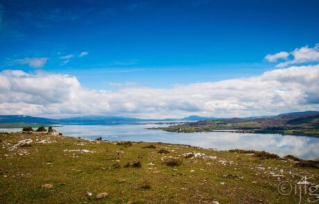 11153982_10205024587672595_694156452_o