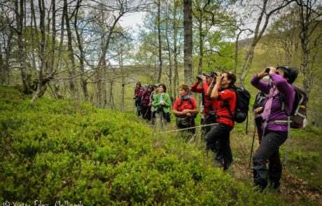 11174486_1611237919092501_5571311917717680958_o