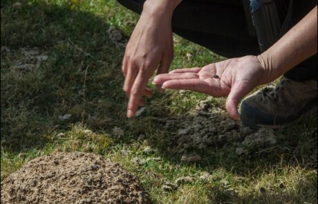 11219452_951433321569063_668167003310118166_o