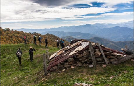 11226575_965946086784453_6941630402697689664_o