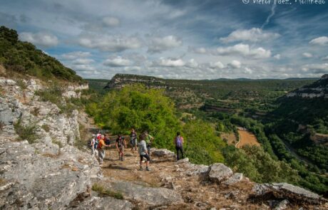 11227613_1647641958785430_7230179768680861445_o