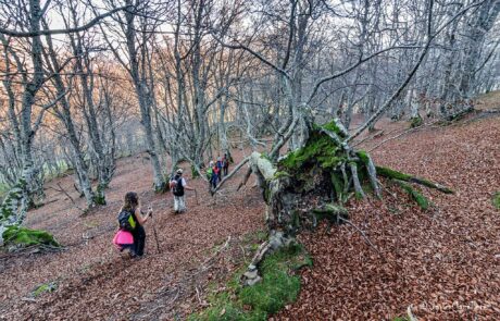 11250992_880472112049613_4452571485804106627_o