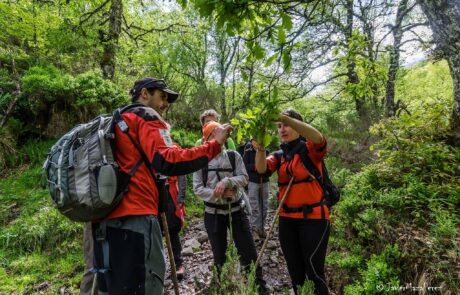 11252494_797175677045924_5771427522755355966_o