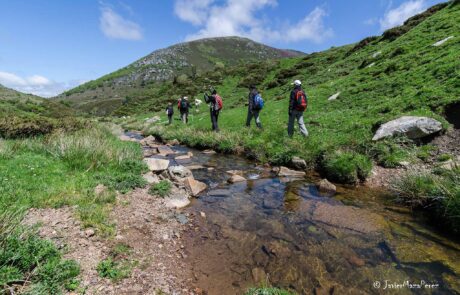 11334261_797175607045931_3052203368818319220_o