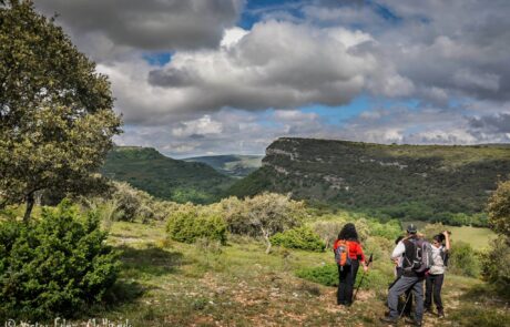 11336984_1626639484219011_4020433827427372148_o