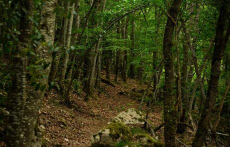 11390145_1626639720885654_3106550189021758789_n