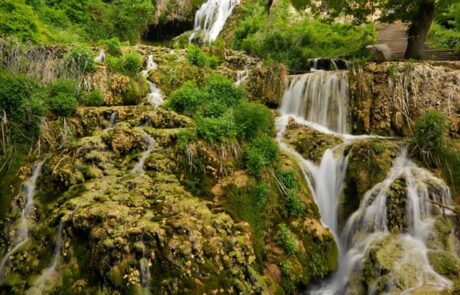 11393425_1626639667552326_8170603331416917762_o